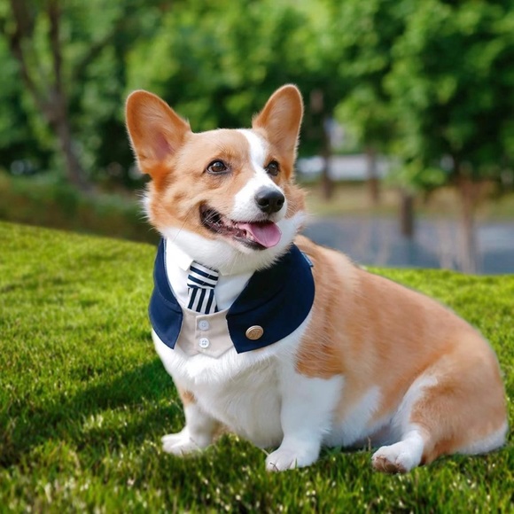 🎉Host Pick🎉 Dog Tuxedo (for Medium size dogs) - Picture 2 of 4